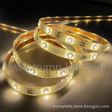 2013 NEW product  waterproof 12v /24v smd 2835 led flex strip light